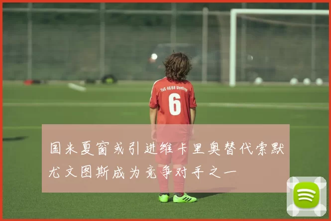 国米夏窗或引进维卡里奥替代索默尤文图斯成为竞争对手之一