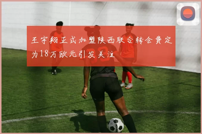 王宇翔正式加盟陕西联合转会费定为18万欧元引发关注